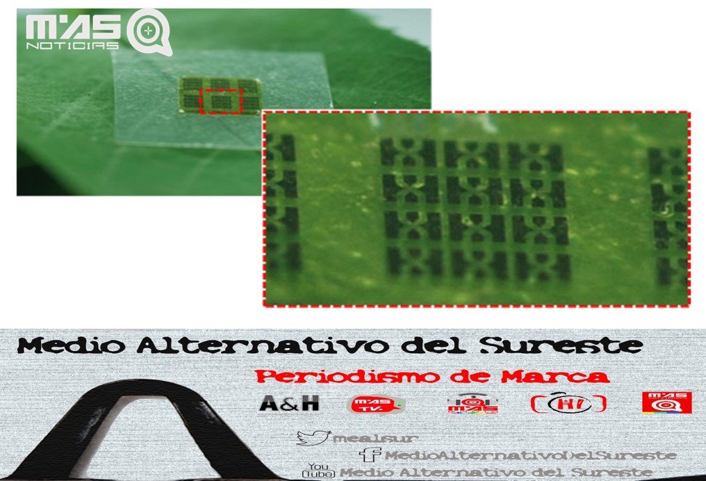 @hals_mx Conoce el primer Chip biodegradable fabricado de nanocelulosa