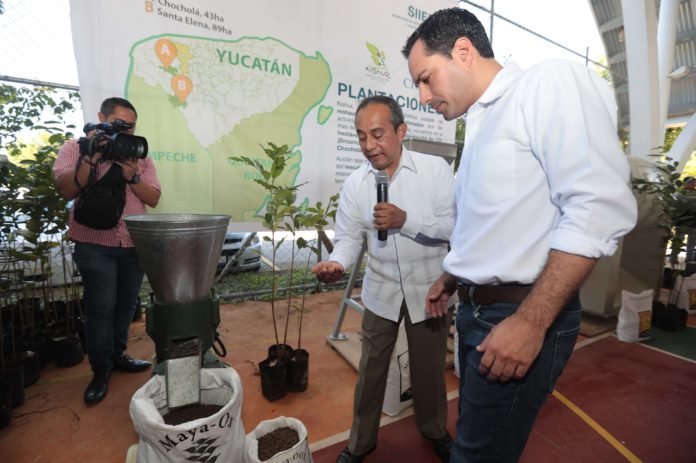 vila yucatan