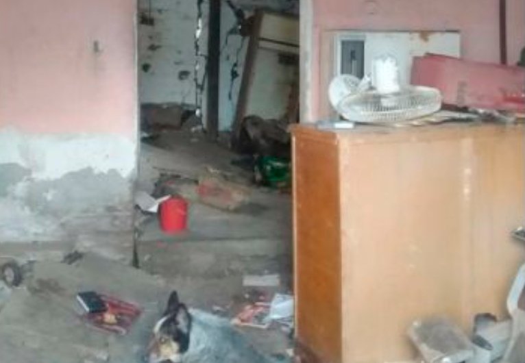 Sismo daña al menos 100 casas en Jalisco, 22 hogares quedaron inhabitables