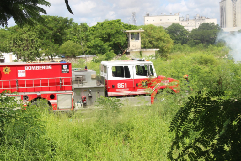 Controlan incendio en terrenos de la «La Plancha»