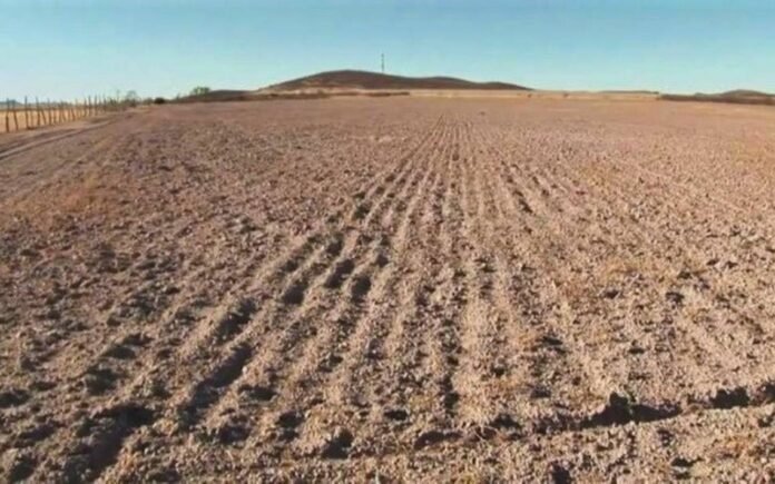 Campo abandonado